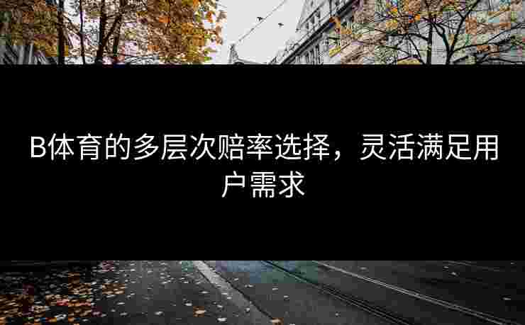 B体育的多层次赔率选择，灵活满足用户需求