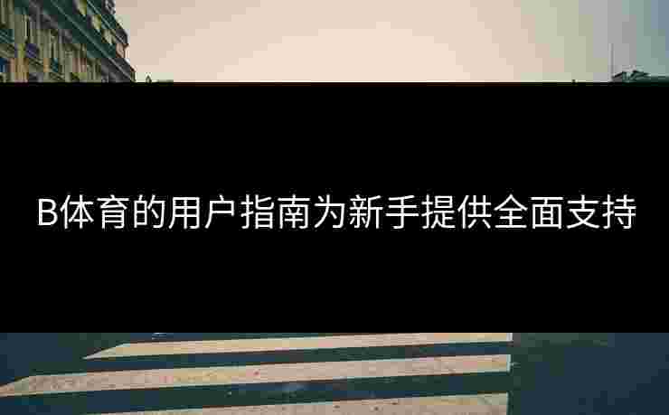 B体育的用户指南为新手提供全面支持