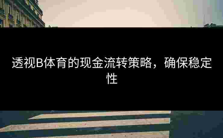 透视B体育的现金流转策略，确保稳定性