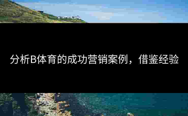 分析B体育的成功营销案例，借鉴经验